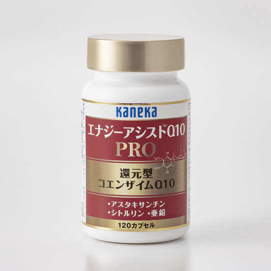 エナジーアシストQ10PRO